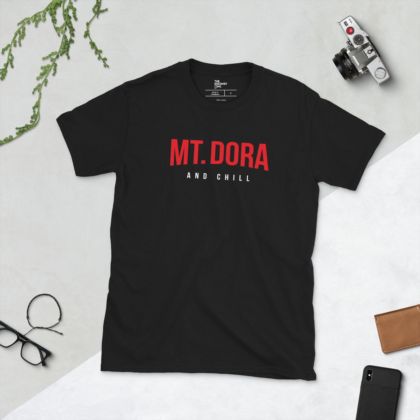 Men's Mount Dora and Chill T-Shirt